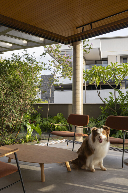 Casa Siena / Estúdio Cidade - Fotografía interior, Sillas, Patio