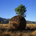 聚焦：Smiljan Radić - Image 2 of 4