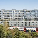 When Façades Become Habitats: Architecture Making Room for Other Species - Image 4 of 4