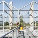 When Façades Become Habitats: Architecture Making Room for Other Species - Image 2 of 4