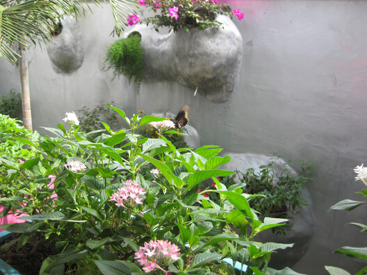 When Façades Become Habitats: Architecture Making Room for Other Species - Image 4 of 26