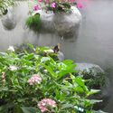 When Façades Become Habitats: Architecture Making Room for Other Species - Image 3 of 4