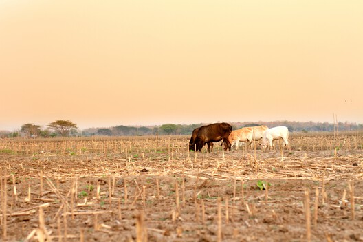 World Environment Day 2026 Coincides with Record Heatwaves, Renewing Focus on Climate Adaptation in Cities - Image 8 of 8
