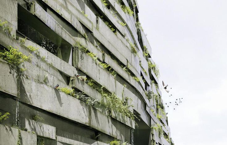 When Façades Become Habitats: Architecture Making Room for Other Species - Image 9 of 26