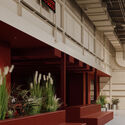 KOPA / Ivy Studio - Commercial Architecture