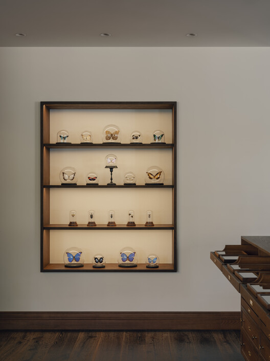 Wild’s Collection Naturalist Specimen / Offhand Practice Wild’s Collection Naturalist Specimen / Offhand Practice - Interior Photography, Shelving