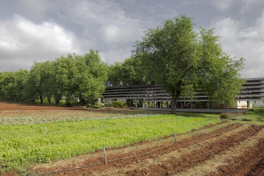 555 Sunshine Farmshop / SO 555 Sunshine Farmshop / SO - Exterior Photography, Garden