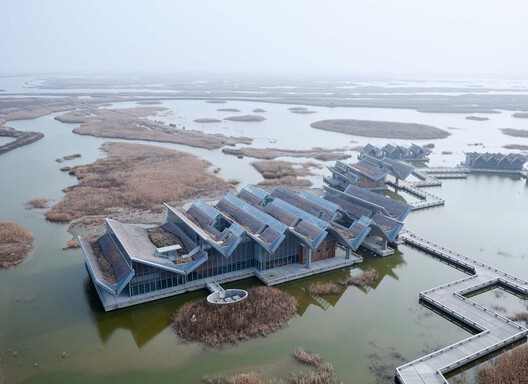 Designing for Stray Cities: Architecture Beyond the Human - Image 7 of 15