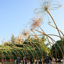 一竿春 / HCCH合尘建筑 - 建筑图, 景观装置