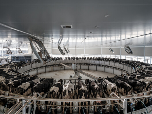 Feeding the Land: What We Eat Built the World We Inhabit Feeding the Land: What We Eat Built the World We Inhabit - Image 14 of 28