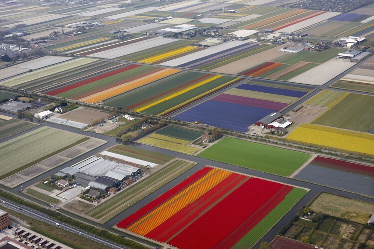 Feeding the Land: What We Eat Built the World We Inhabit - Image 18 of 28