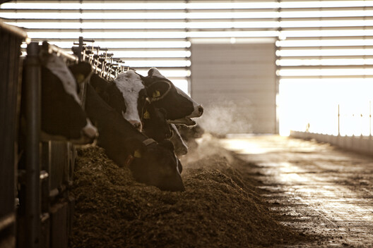 Feeding the Land: What We Eat Built the World We Inhabit Feeding the Land: What We Eat Built the World We Inhabit - Image 17 of 28