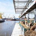 Feeding the Land: What We Eat Built the World We Inhabit - Image 4 of 4
