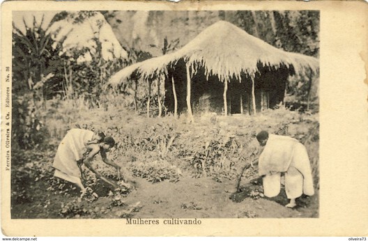 Feeding the Land: What We Eat Built the World We Inhabit Feeding the Land: What We Eat Built the World We Inhabit - Image 2 of 28