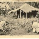 Feeding the Land: What We Eat Built the World We Inhabit - Image 1 of 4