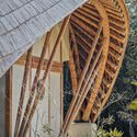 Villa CORA – Casa de bambú en Tulum / terrAurea studio - Casas