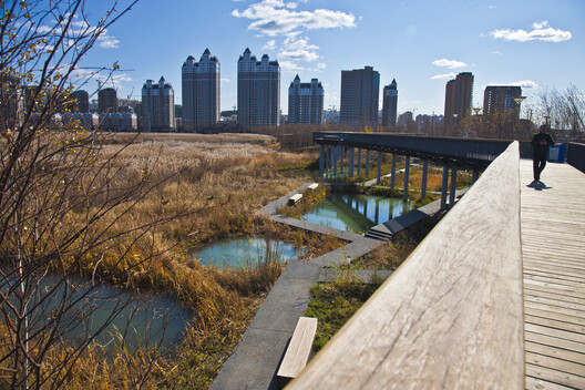 Heat as a Design Partner: Trees, Soil, and Wind Corridors as Cooling Infrastructure Heat as a Design Partner: Trees, Soil, and Wind Corridors as Cooling Infrastructure - Image 17 of 23