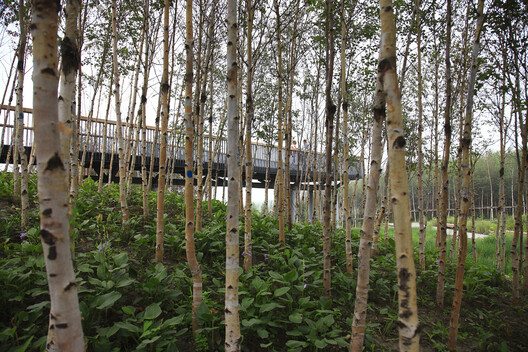 Heat as a Design Partner: Trees, Soil, and Wind Corridors as Cooling Infrastructure Heat as a Design Partner: Trees, Soil, and Wind Corridors as Cooling Infrastructure - Image 7 of 23
