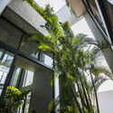 Heat as a Design Partner: Trees, Soil, and Wind Corridors as Cooling Infrastructure - Image 1 of 4