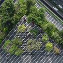 Heat as a Design Partner: Trees, Soil, and Wind Corridors as Cooling Infrastructure - Image 2 of 4