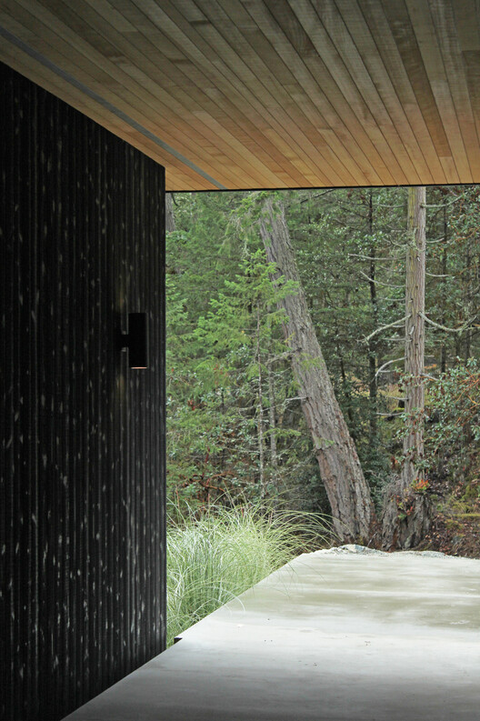 Hilltop House  / W O V E N Architecture and Design - Interior Photography, Wood