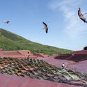 The Earth Valley Theater  / GOA (Group of Architects) - Exterior Photography, Theater, Stairs