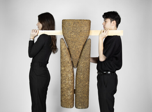 From Waste to Wall: Sugarcane Bagasse as Low-Carbon Building Material - Image 1 of 10