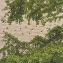 Fondation Beyeler to Open Expanded Campus by Peter Zumthor in 2027 - Imagem 3 de 4
