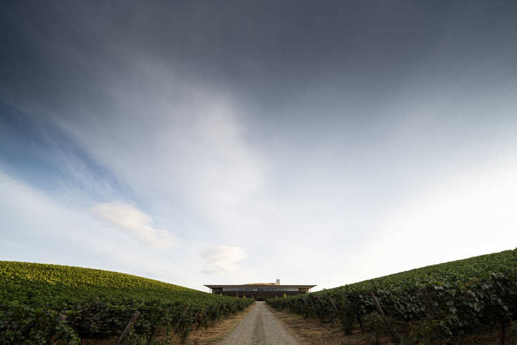 Adega do Ataíde Winery / Luís Loureiro Arquiteto - Exterior Photography