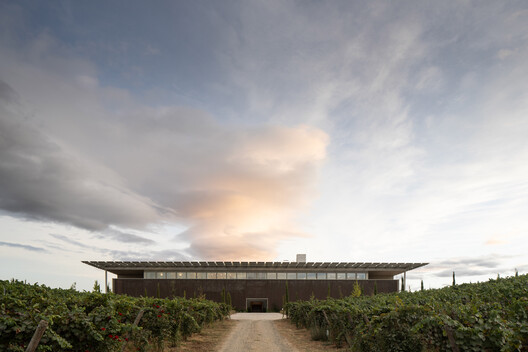 Adega do Ataíde Winery / Luís Loureiro Arquiteto - Image 16 of 36