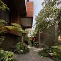 Kenari House / Ken Workshop - Exterior Photography, Houses, Garden