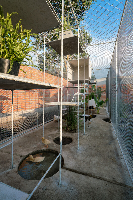 Designing for Chickens: Rethinking How Humans and Animals Share Space - Image 25 of 50