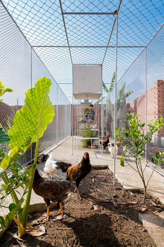 Designing for Chickens: Rethinking How Humans and Animals Share Space - Image 31 of 50