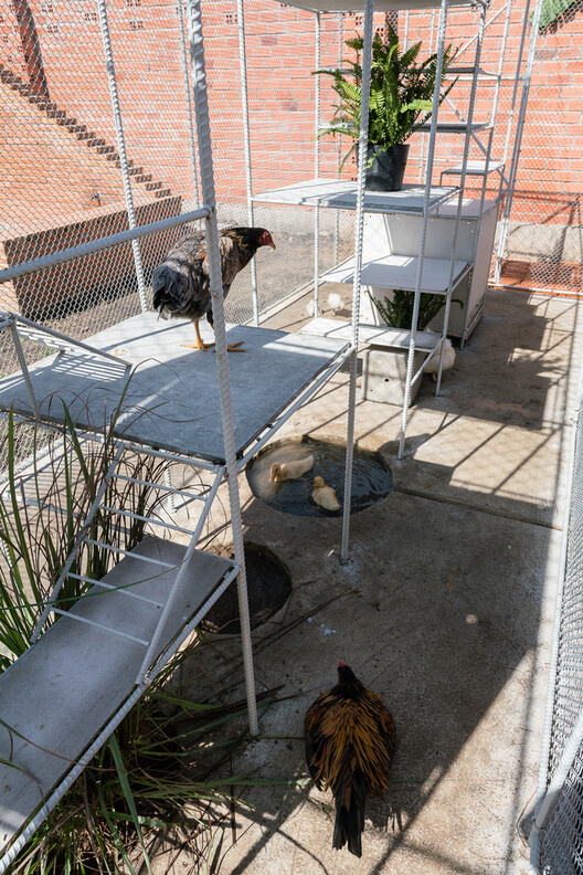 Designing for Chickens: Rethinking How Humans and Animals Share Space - Image 45 of 50