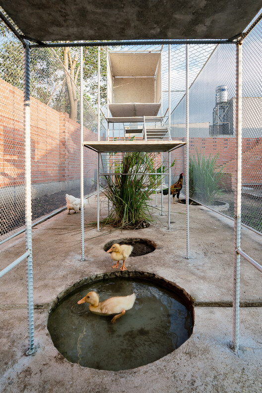 Designing for Chickens: Rethinking How Humans and Animals Share Space - Image 48 of 50