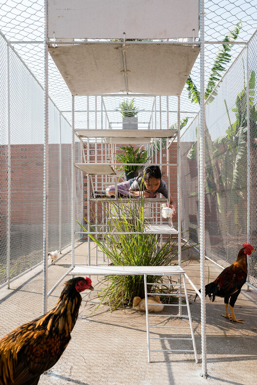 Designing for Chickens: Rethinking How Humans and Animals Share Space - Image 50 of 50