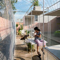 Designing for Chickens: Rethinking How Humans and Animals Share Space - Imagen 3 de 4