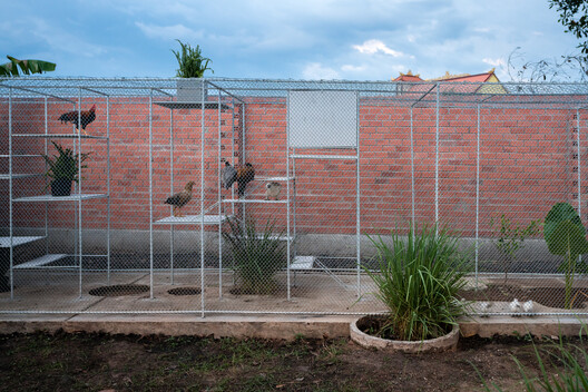 Designing for Chickens: Rethinking How Humans and Animals Share Space - Image 14 of 50