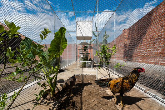 Designing for Chickens: Rethinking How Humans and Animals Share Space - Image 15 of 50