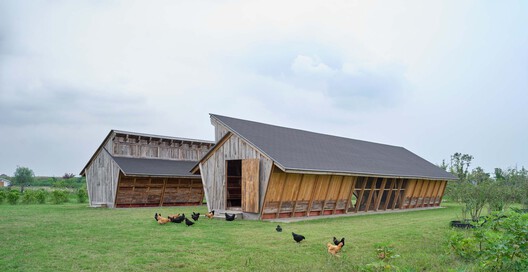 Designing for Chickens: Rethinking How Humans and Animals Share Space - Image 8 of 50