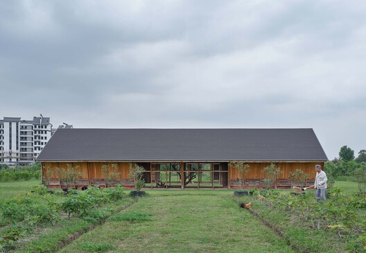 Designing for Chickens: Rethinking How Humans and Animals Share Space - Image 40 of 50