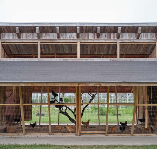 Designing for Chickens: Rethinking How Humans and Animals Share Space - Image 12 of 50