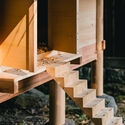 Designing for Chickens: Rethinking How Humans and Animals Share Space - Imagen 4 de 4
