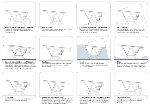 Designing for Chickens: Rethinking How Humans and Animals Share Space - Image 16 of 50