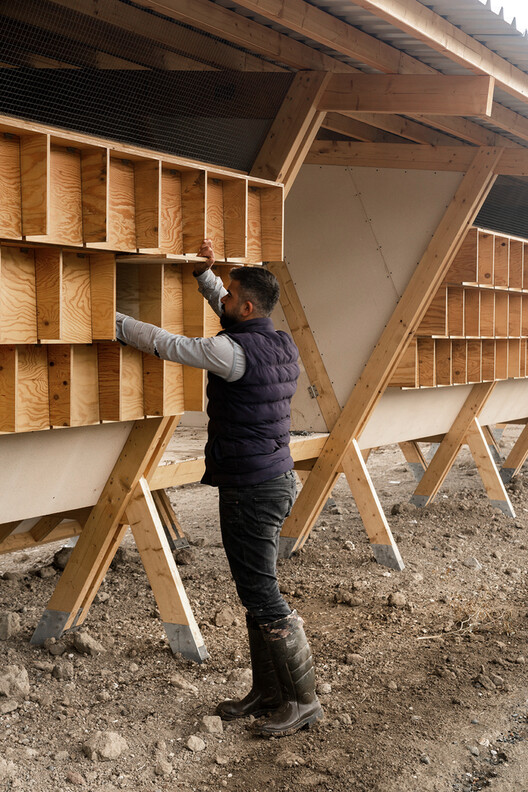 Designing for Chickens: Rethinking How Humans and Animals Share Space - Image 33 of 50