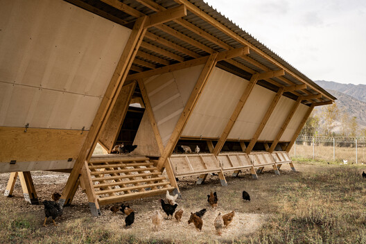 Designing for Chickens: Rethinking How Humans and Animals Share Space