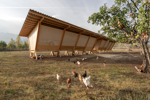 Designing for Chickens: Rethinking How Humans and Animals Share Space - Image 27 of 50