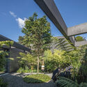 Casa de los Patios / Alejandro Restrepo-Montoya Arquitectura + EstudioCentral - Fotografía exterior, Casas, Jardín