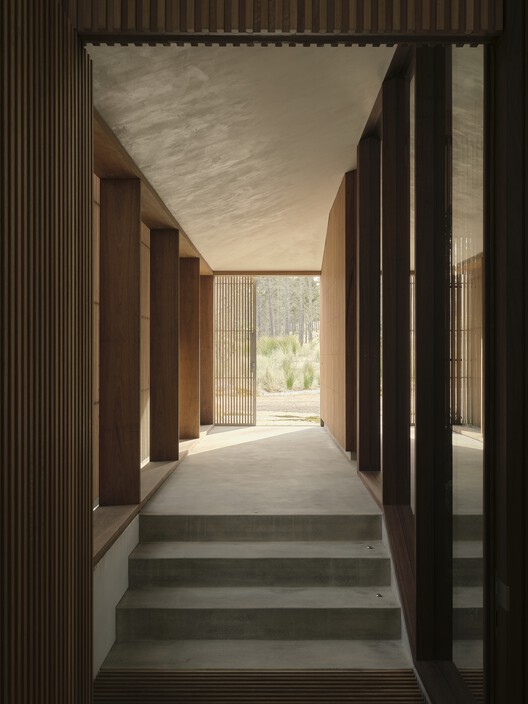 Double Courtyard House / Roberts Gray Architects Double Courtyard House / Roberts Gray Architects - Image 12 of 27