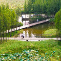 The Ecological Intelligence of Sacred Landscapes - Imagem 4 de 4
